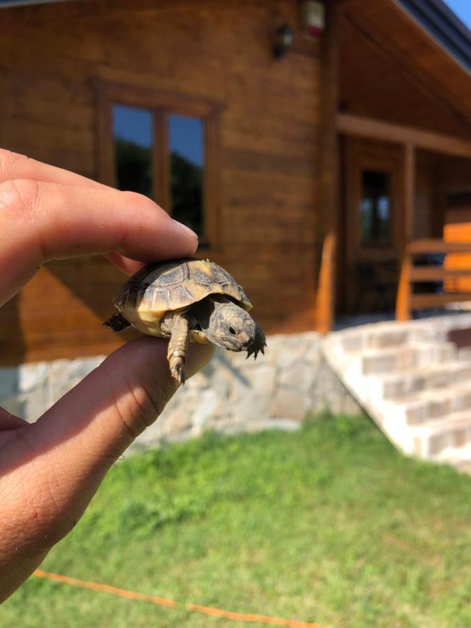 Orahovo Cottages ヴィルパザル エクステリア 写真